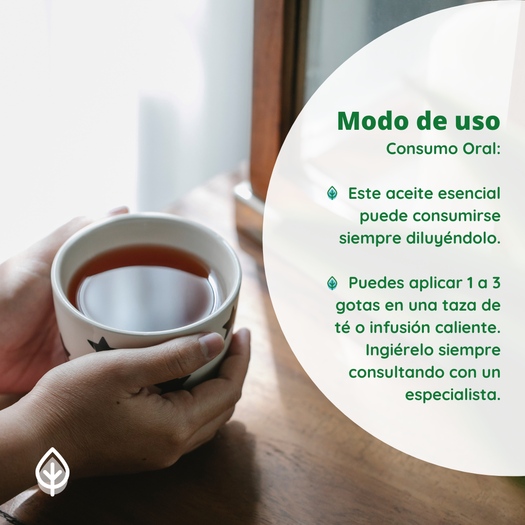 Aceite Esencial de Orégano Orgánico – Ecolution Perú